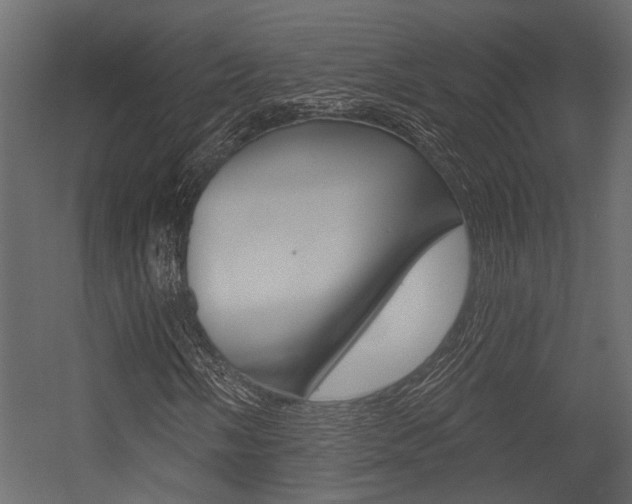 X0000054421058200507290920