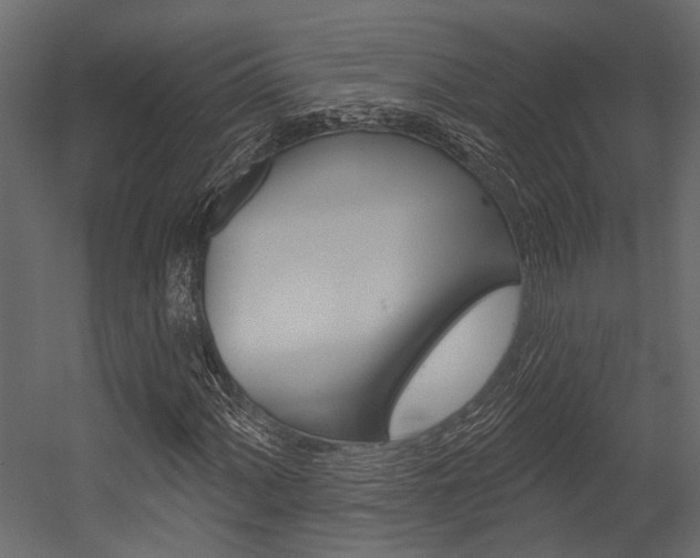 X0000054421060200507290920