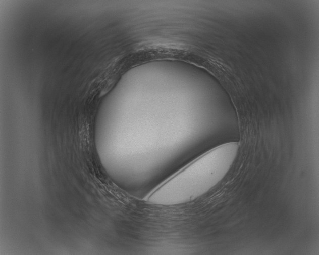 X0000054421061200507290920