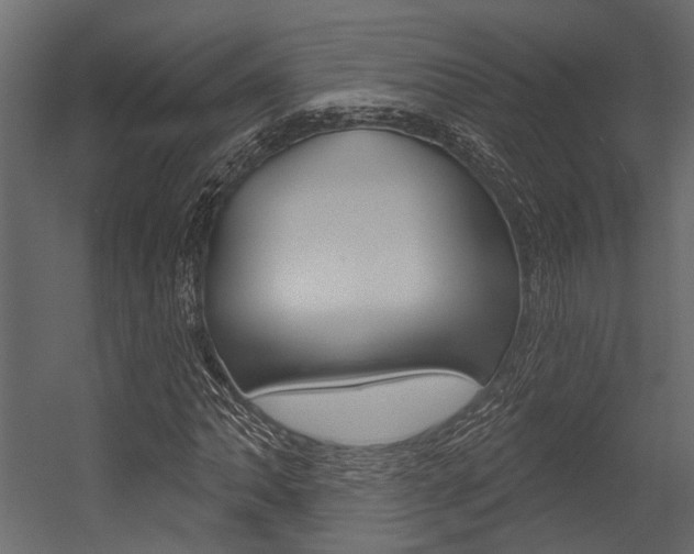 X0000054421062200507290920