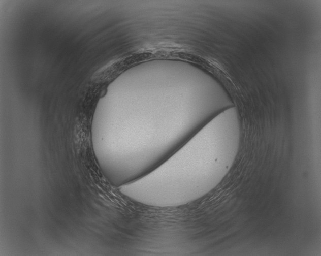 X0000054421063200507290920