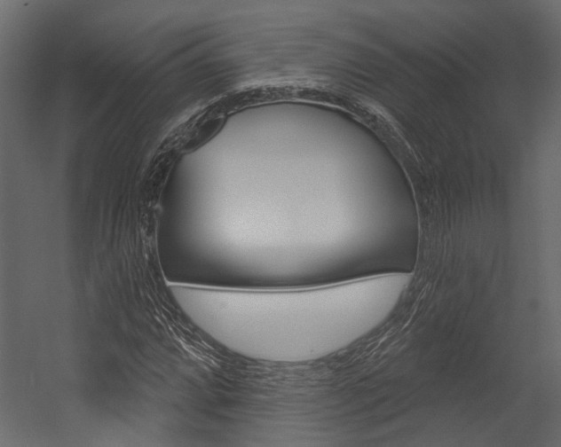X0000054421064200507290920