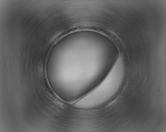 X0000054421065200507290920