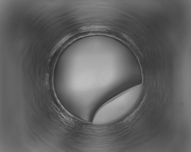 X0000054421066200507290920