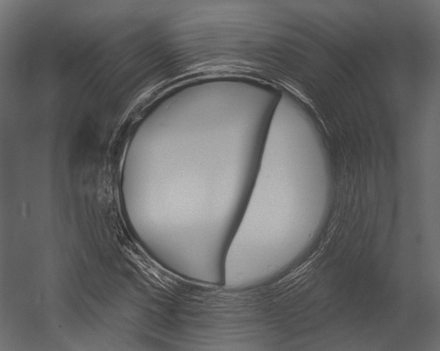 X0000054421067200507290920
