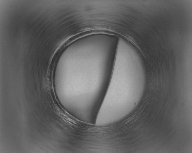 X0000054421068200507290920