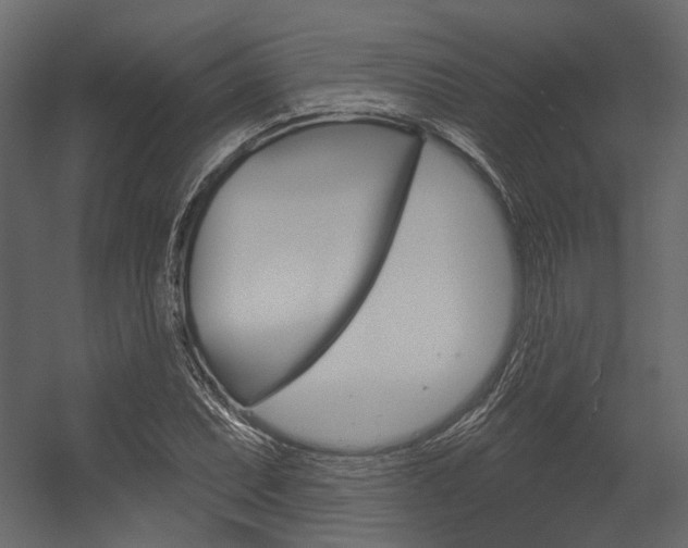 X0000054421071200507290920