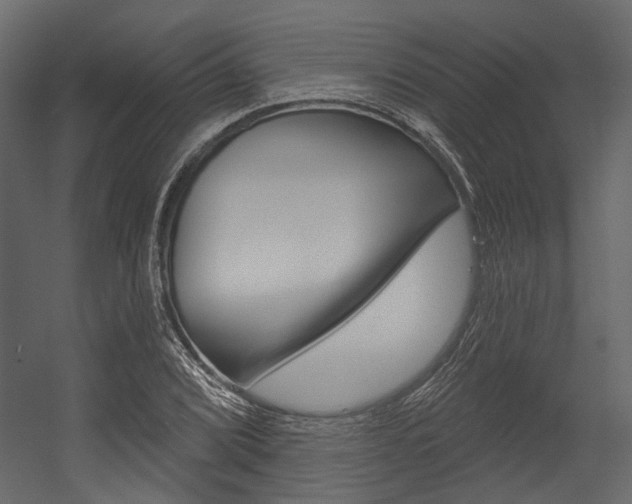 X0000054421072200507290920