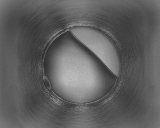 X0000054421073200507290920