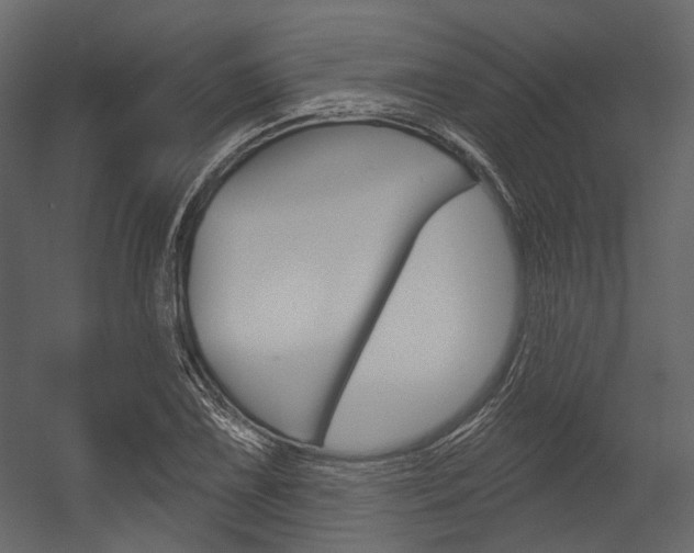 X0000054421075200507290920