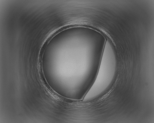 X0000054421077200507290920