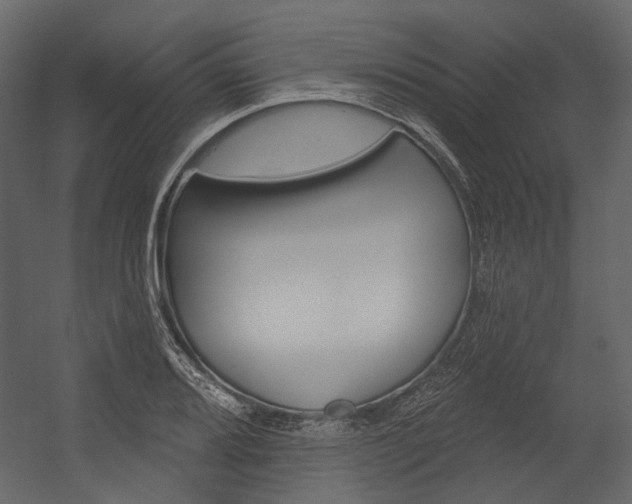 X0000054421080200507290920