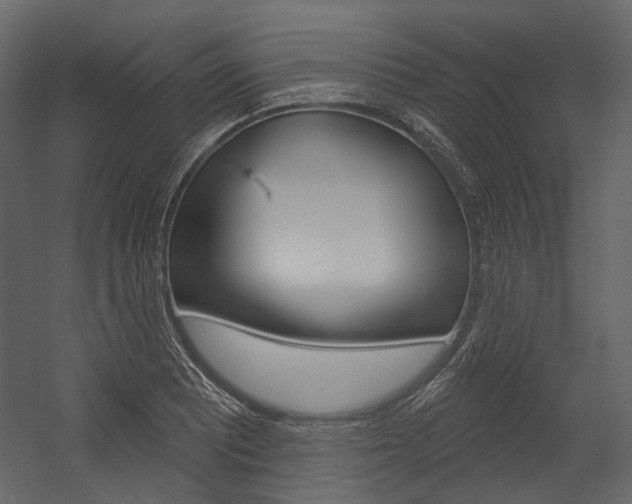X0000054421081200507290920