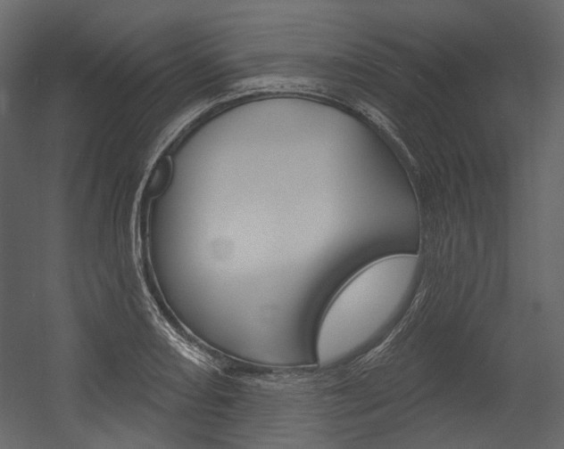 X0000054421082200507290920