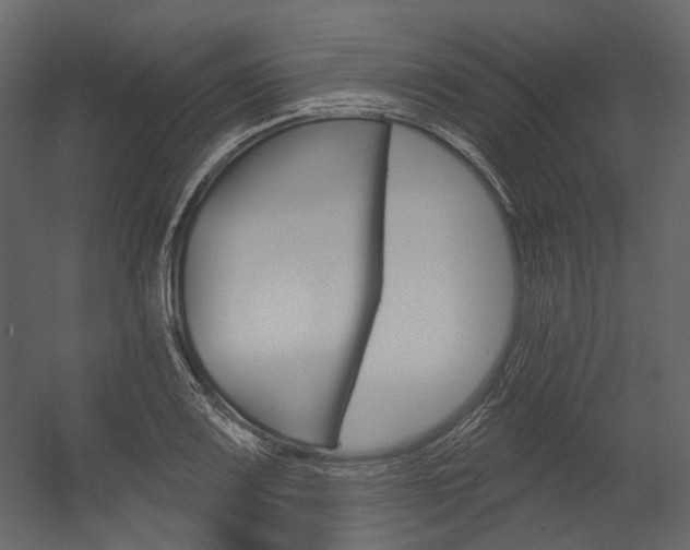 X0000054421083200507290920
