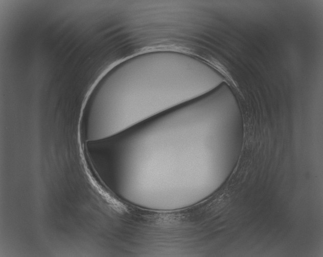 X0000054421084200507290920