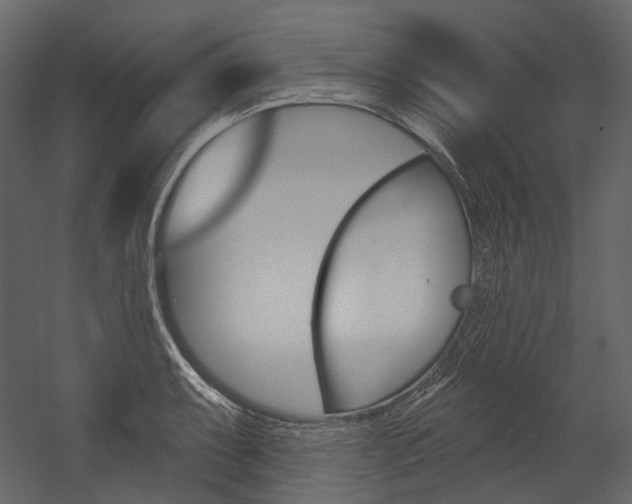 X0000054421087200507290919