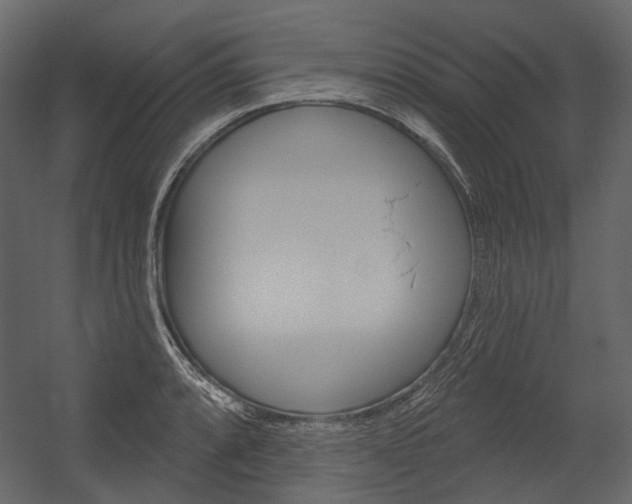 X0000054421088200507290919