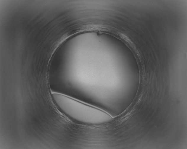 X0000054421089200507290919