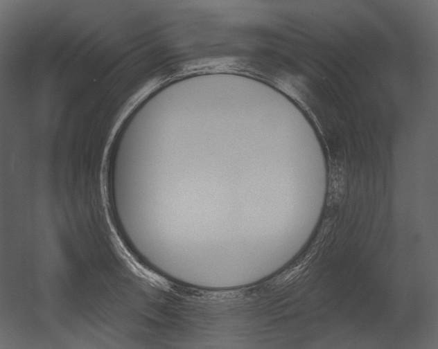 X0000054421090200507290919
