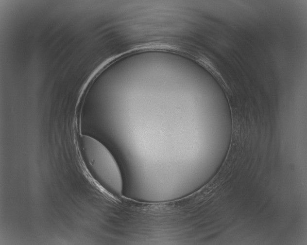 X0000054421092200507290919