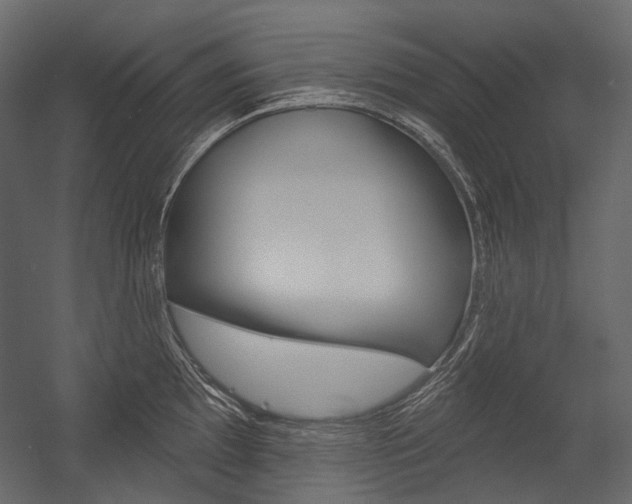 X0000054421097200507290919