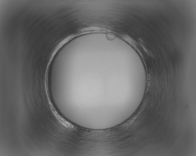 X0000054421098200507290919
