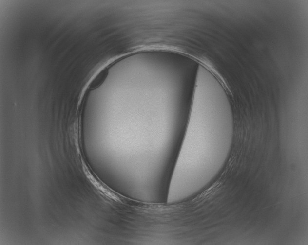 X0000054421100200507290919