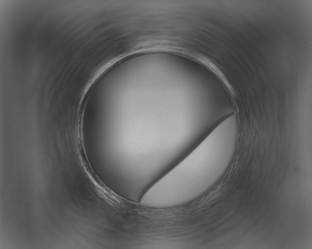 X0000054421101200507290919