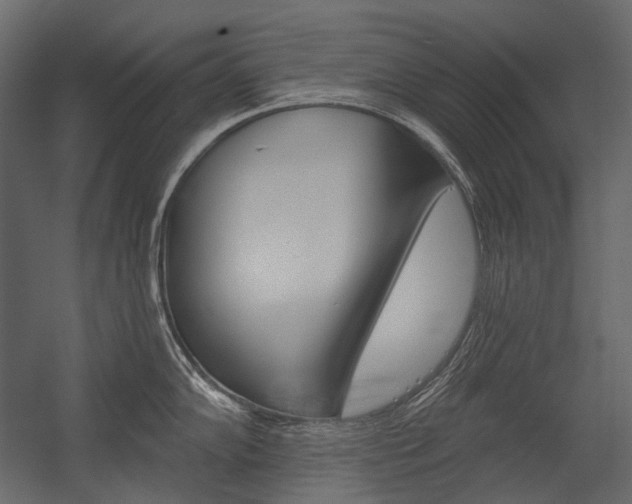 X0000054421102200507290919
