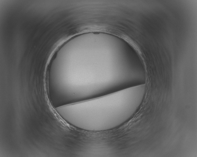 X0000054421104200507290919