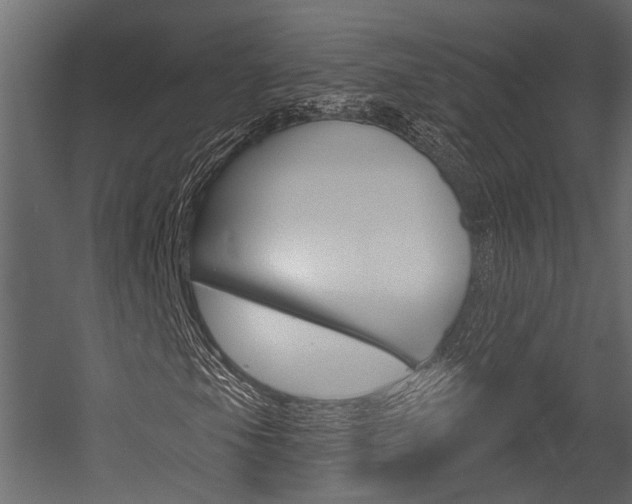 X0000054421105200507290918