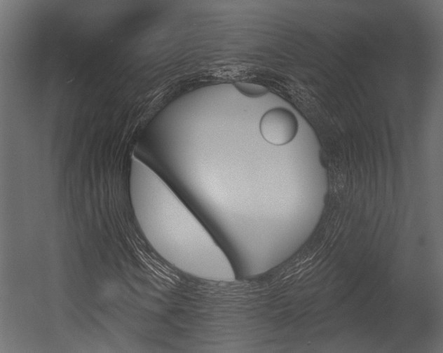 X0000054421106200507290918