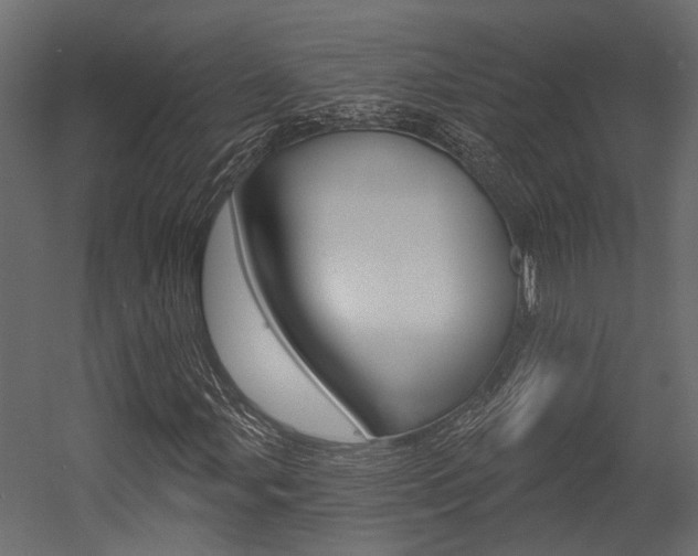 X0000054421107200507290918