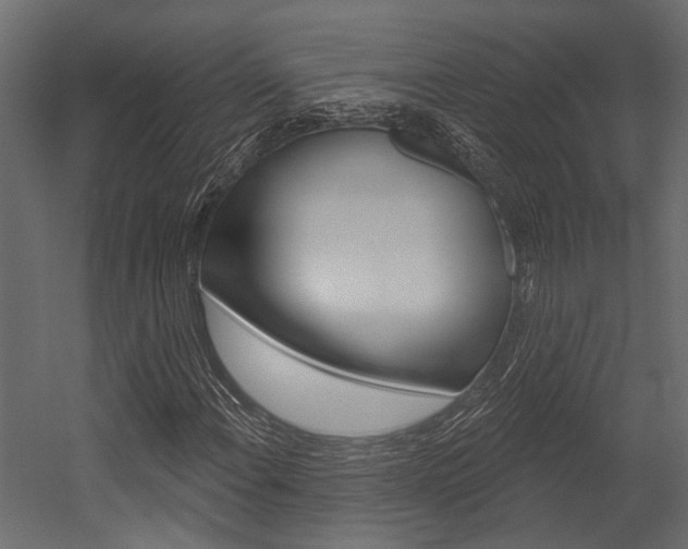 X0000054421108200507290918