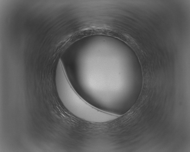 X0000054421110200507290918