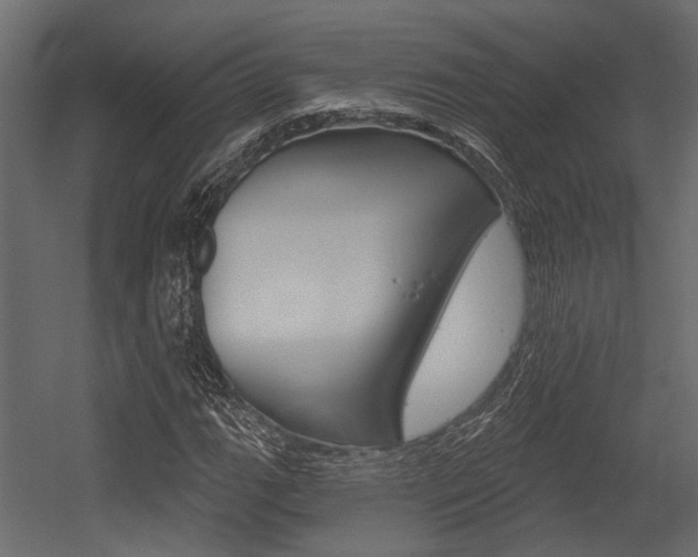 X0000054421111200507290918