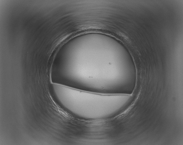 X0000054421113200507290919