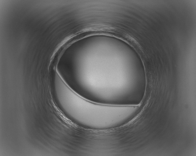 X0000054421114200507290919