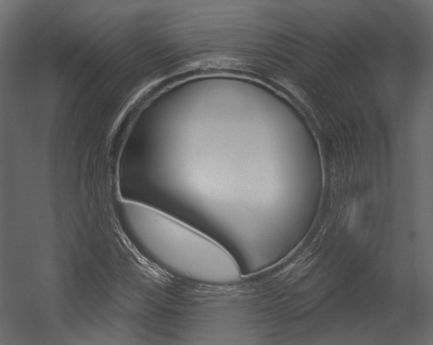 X0000054421115200507290919