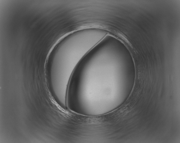 X0000054421116200507290919