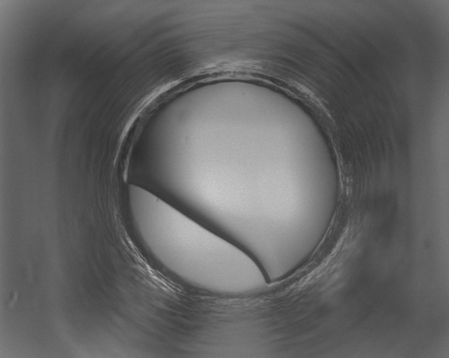 X0000054421117200507290919