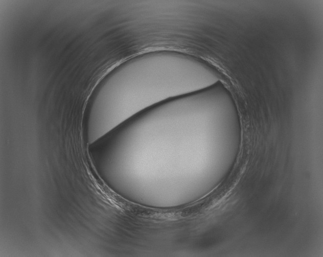 X0000054421121200507290919