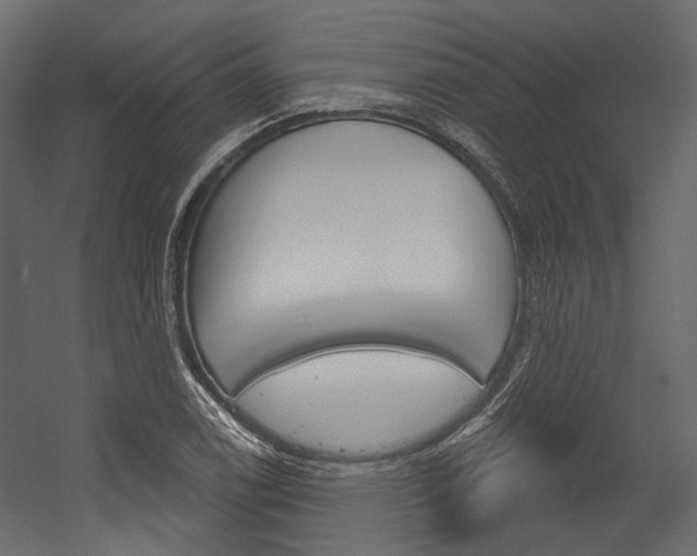 X0000054421122200507290919