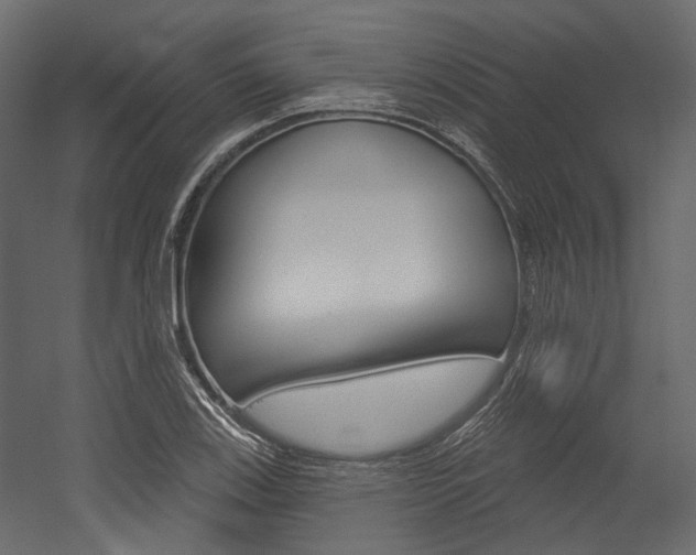 X0000054421123200507290919