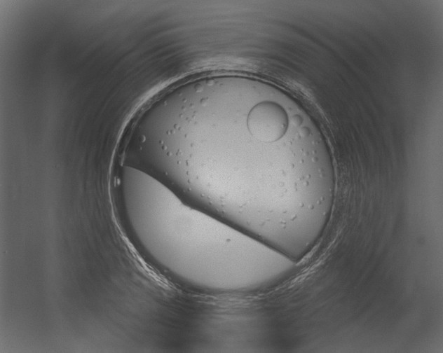 X0000054421125200507290919