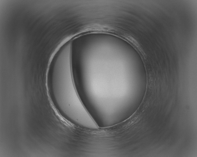 X0000054421128200507290919