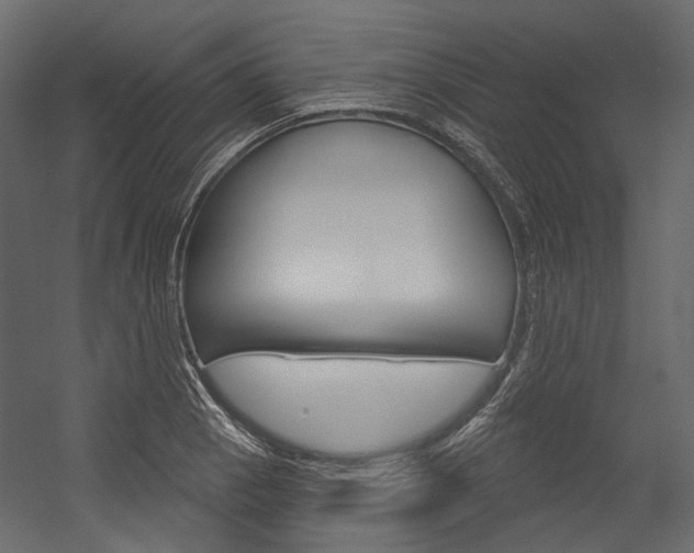 X0000054421129200507290919