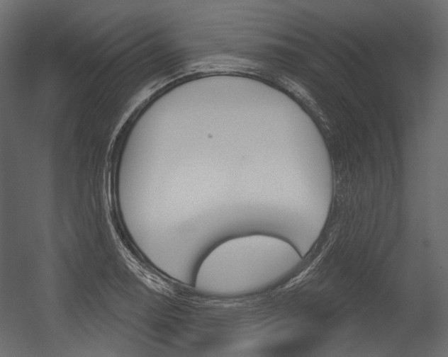 X0000054421130200507290919