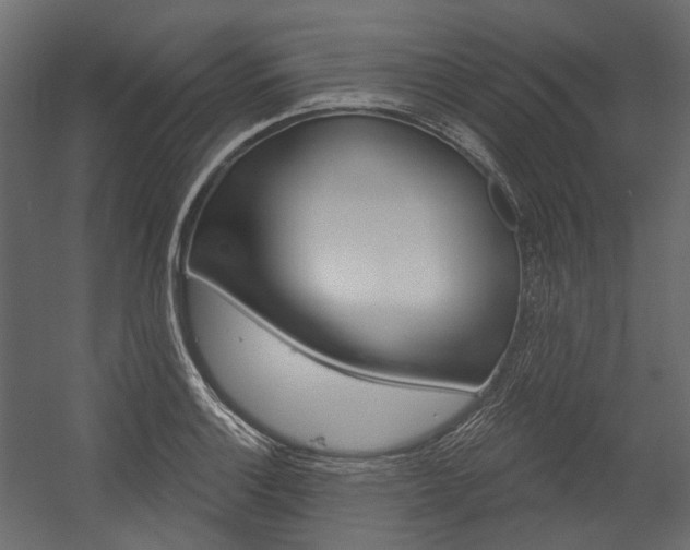 X0000054421132200507290919